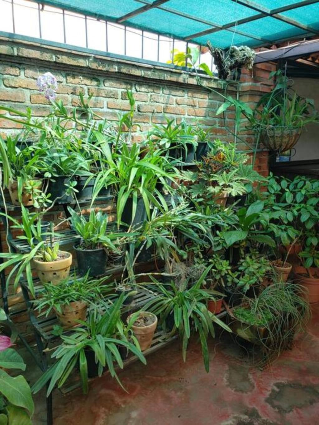 Enjoy Ac In The Penthouse At Inn Ajijic Exterior foto